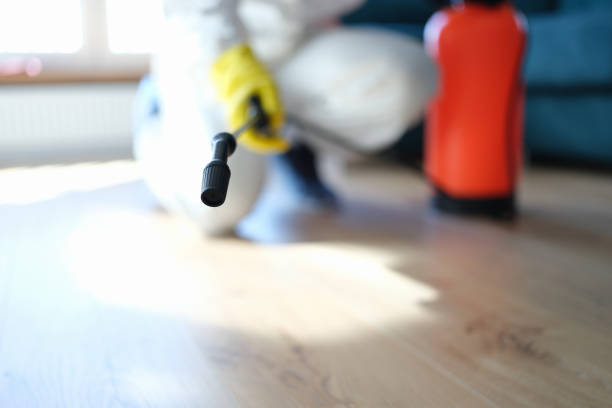 Best Environmental Consulting for Mold Prevention  in Lmdale, PA