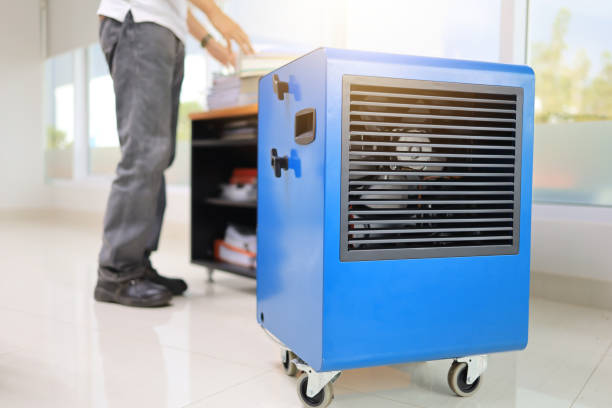 Best Mold Removal for HVAC Installations  in Lmdale, PA